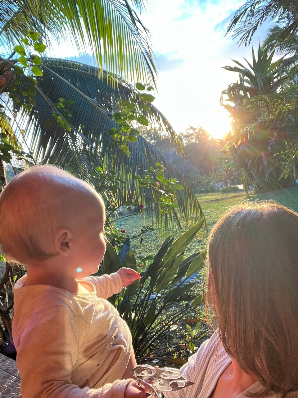 Panama - Las Lajas - Sonnenaufgang im tropischen Garten.