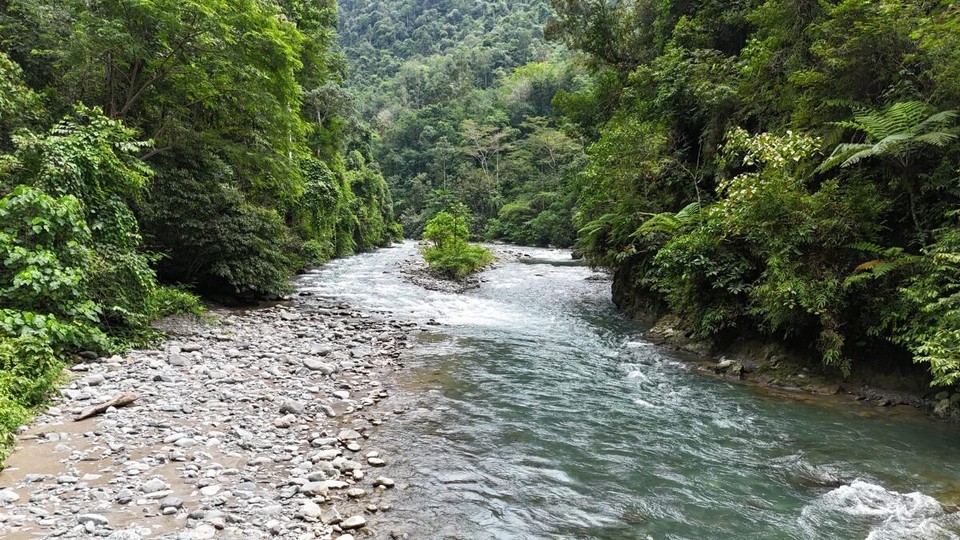 Indonesien - Kabupaten Langkat - 