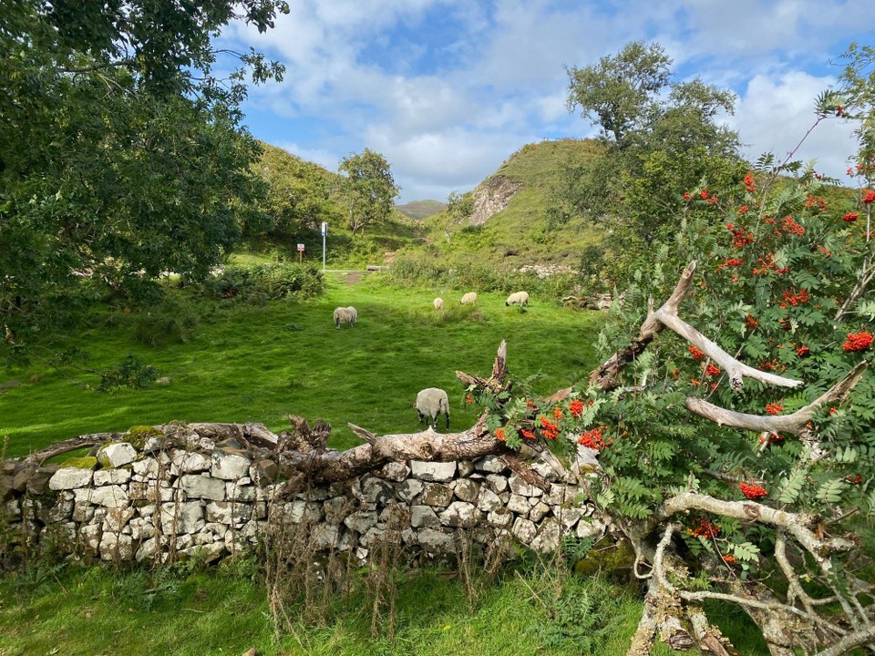 Vereinigtes Königreich - Skye - 