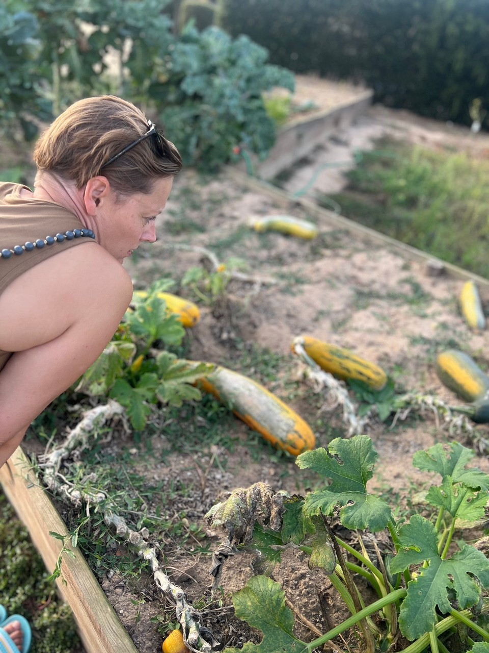 Portugal - Zambujeira do Mar - Rätselraten an den Hochbeeten. 
