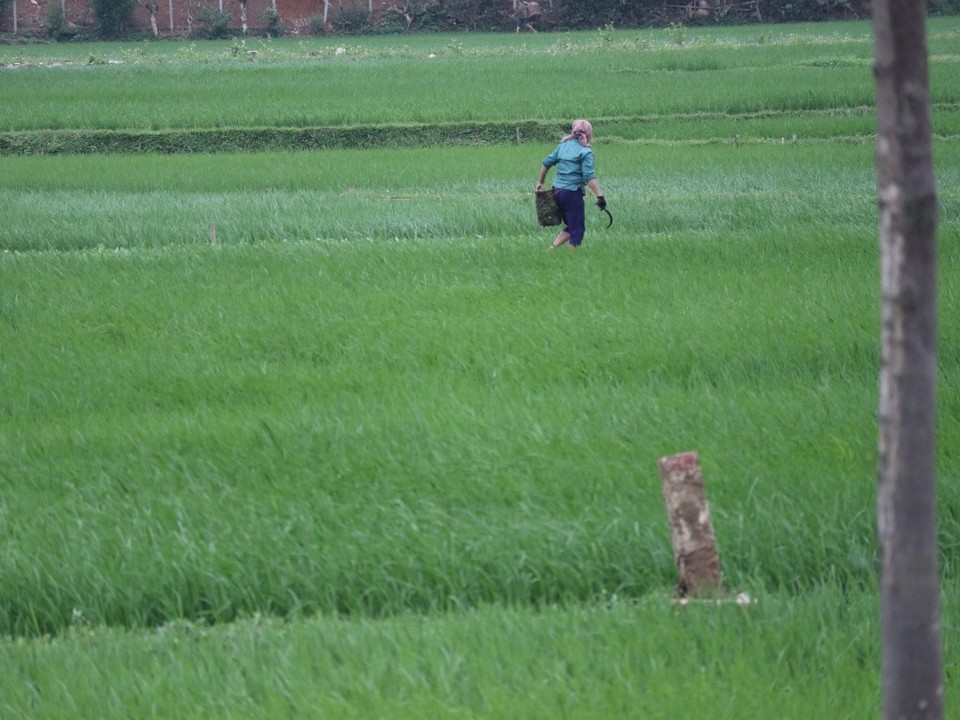 Vietnam - H. Mai Châu - 