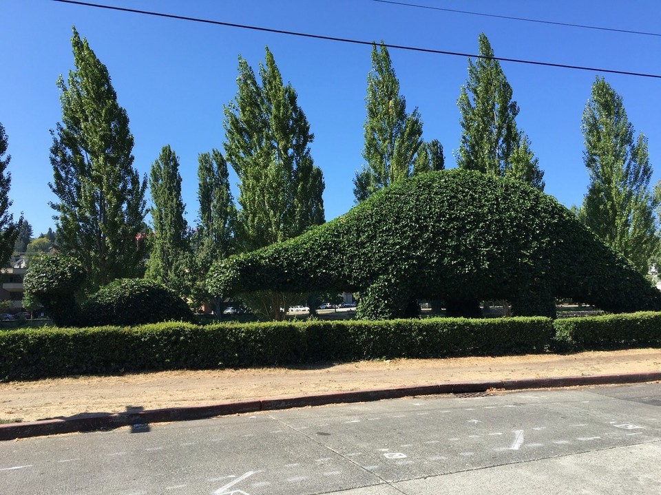 USA - Seattle - Ums Eck vom Hostel findet man diese Skulptur - wer erkennts? Jap, das sind ein Mama und ein Kind-Dinosaurier 