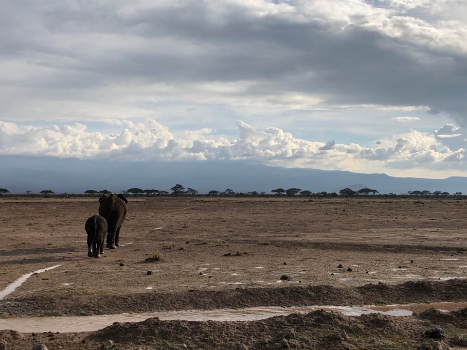 Kenia - Kajiado - 