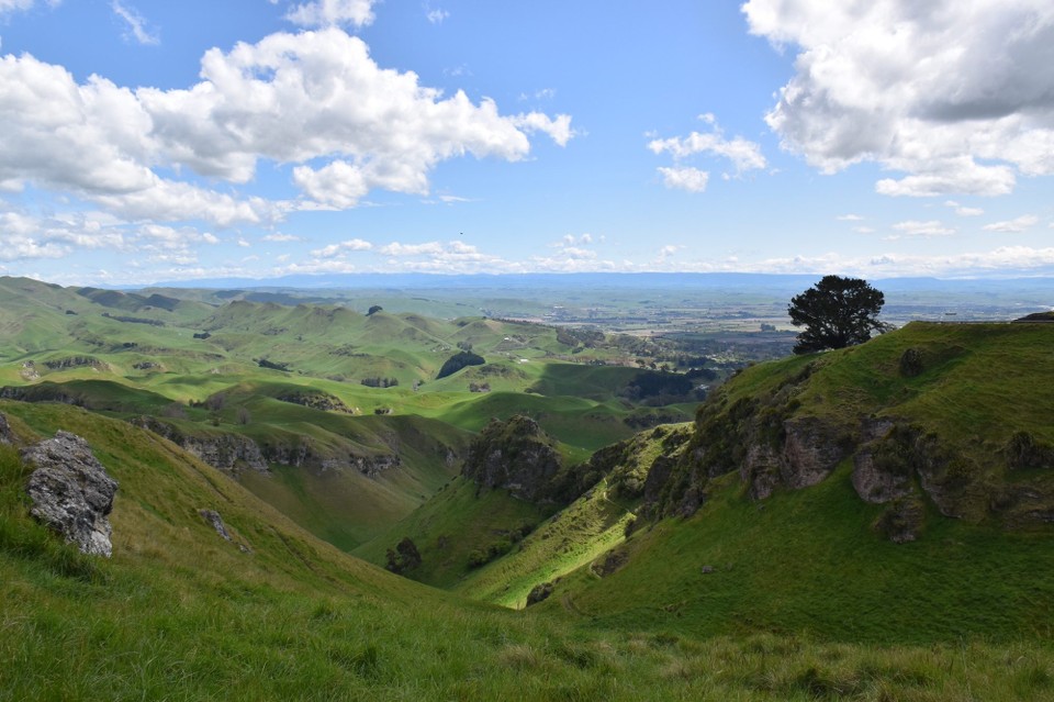 Neuseeland - Havelock North - Es lohnte sich nicht die Kamera wieder in die Tasche zu stecken, denn ein Highlight folgte dem nächsten.