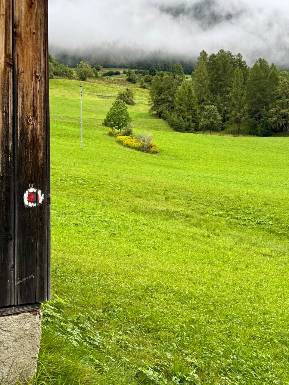 Österreich - Trins - 
