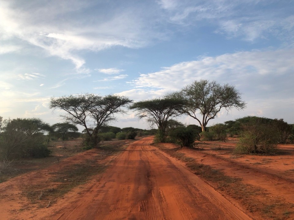 Kenia - Taita - 