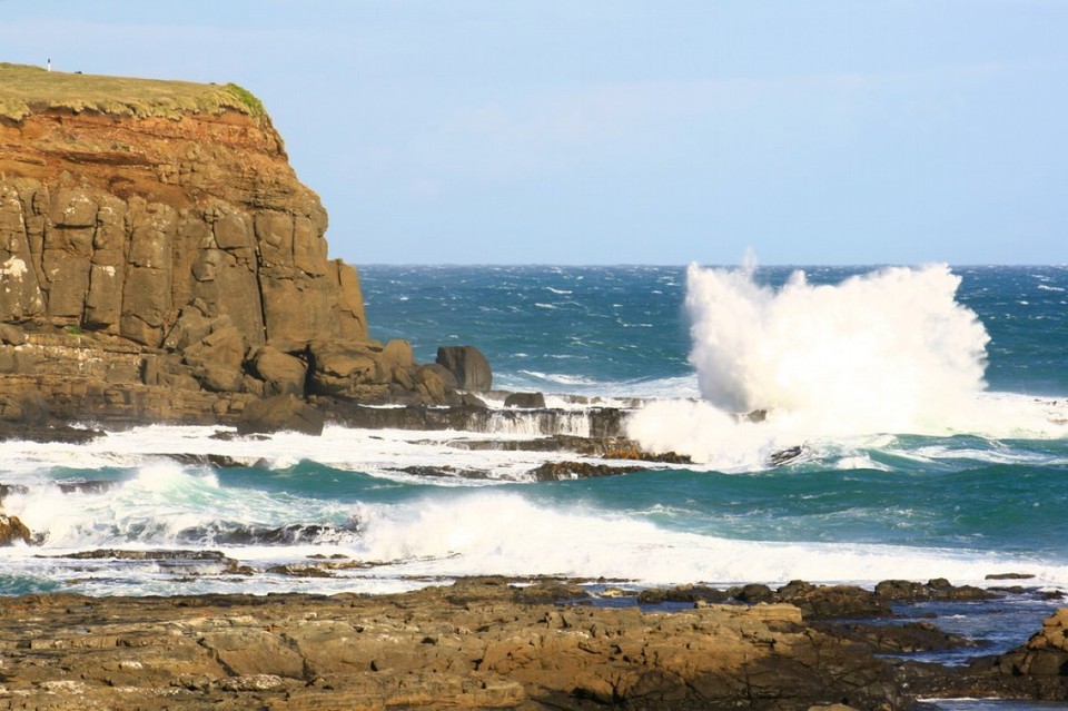 Neuseeland - Catlins - 