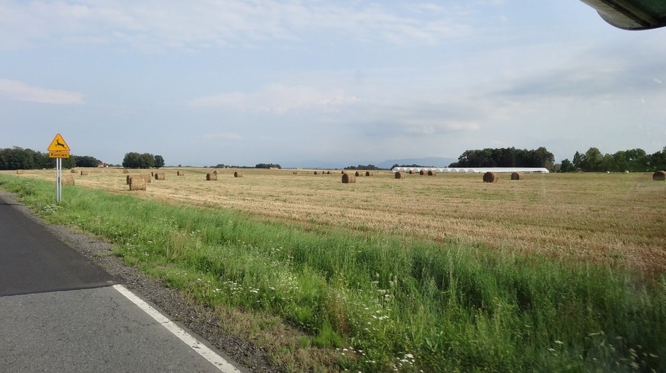 Polen - Gdingen - 