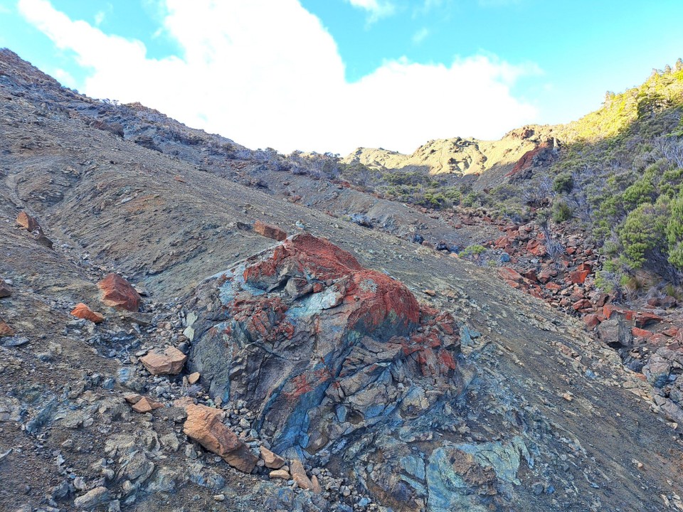Neuseeland - Saint Arnaud - 