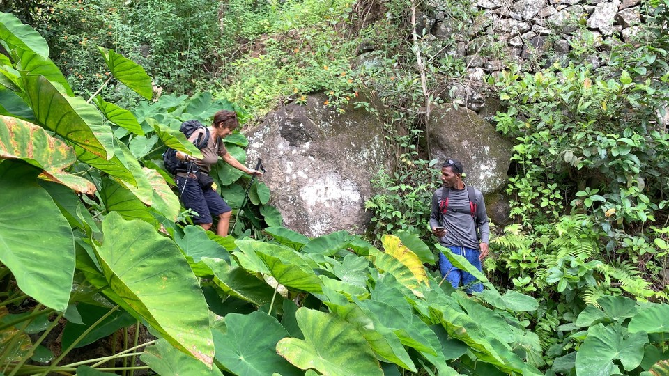 Cap-Vert -  - Edy... un guide bien attentif! 