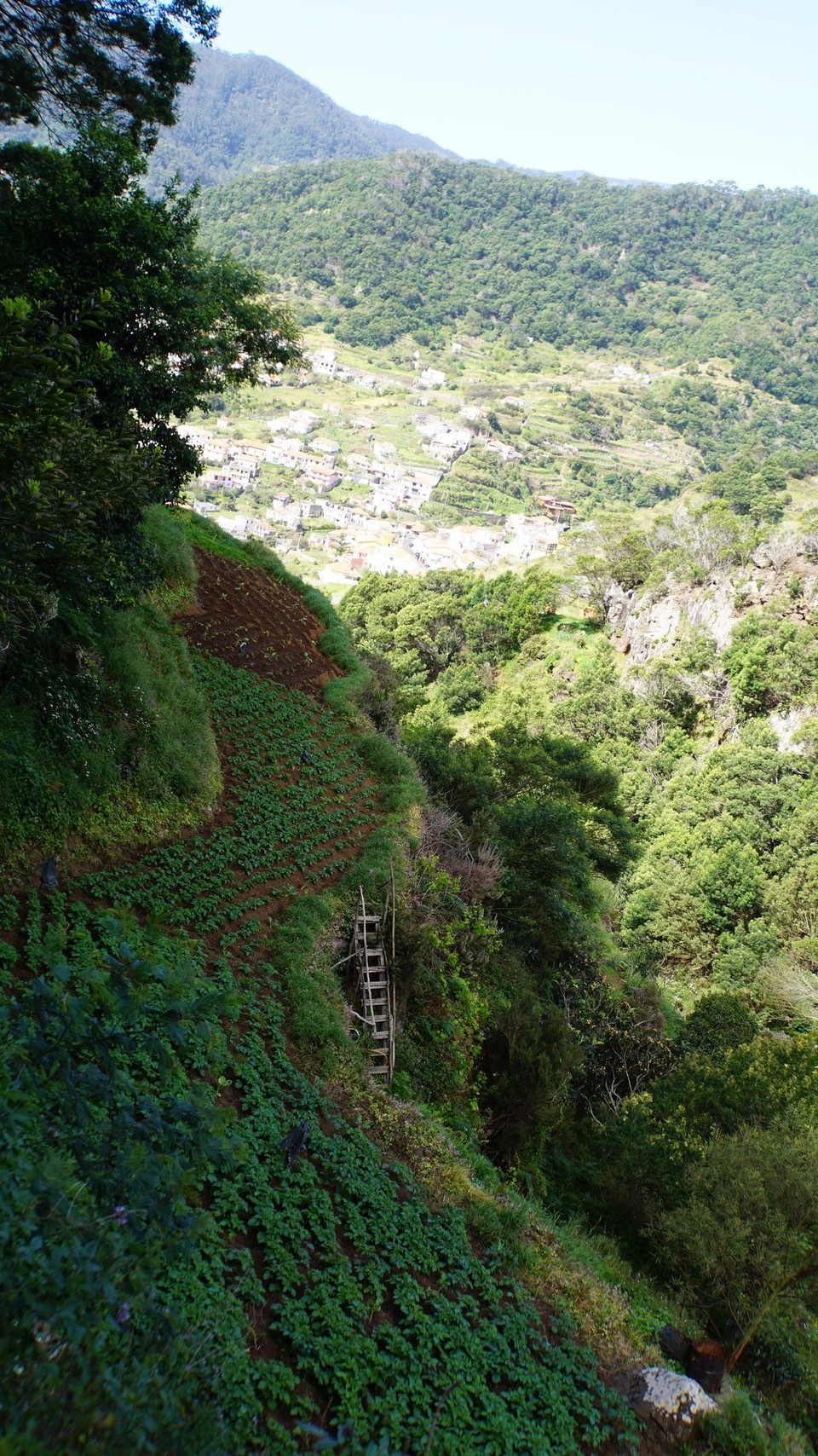 Portugal - Santa Cruz - Auch die steilsten Stellen sind nutzbar 