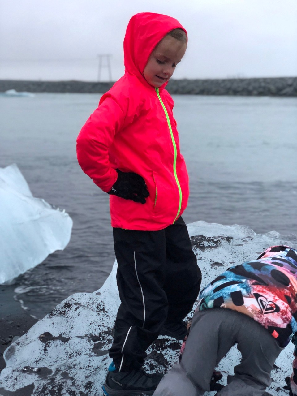 Island - Sveitarfélagið Hornafjörður - Hoffentlich treibt die Eisscholle nun nicht wieder zurück ins Meer...😯