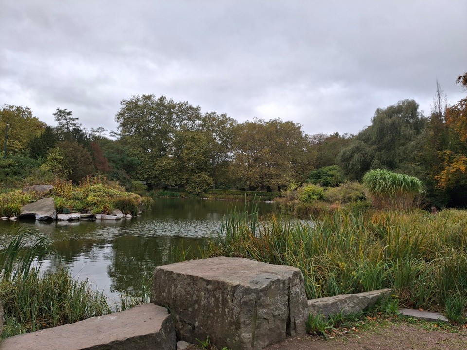 Schweden - Kungsparken - 