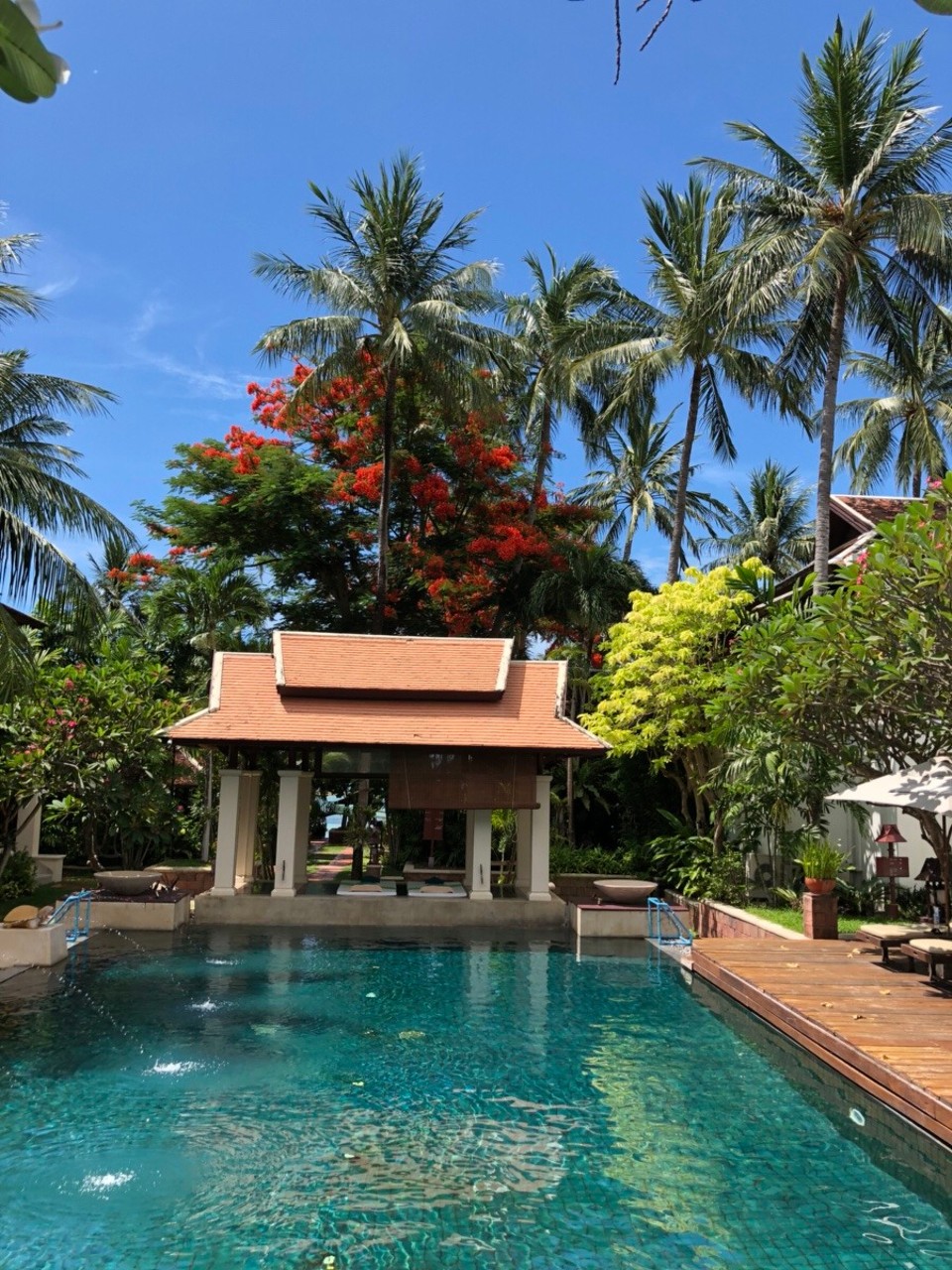Thailand - Koh Samui - 