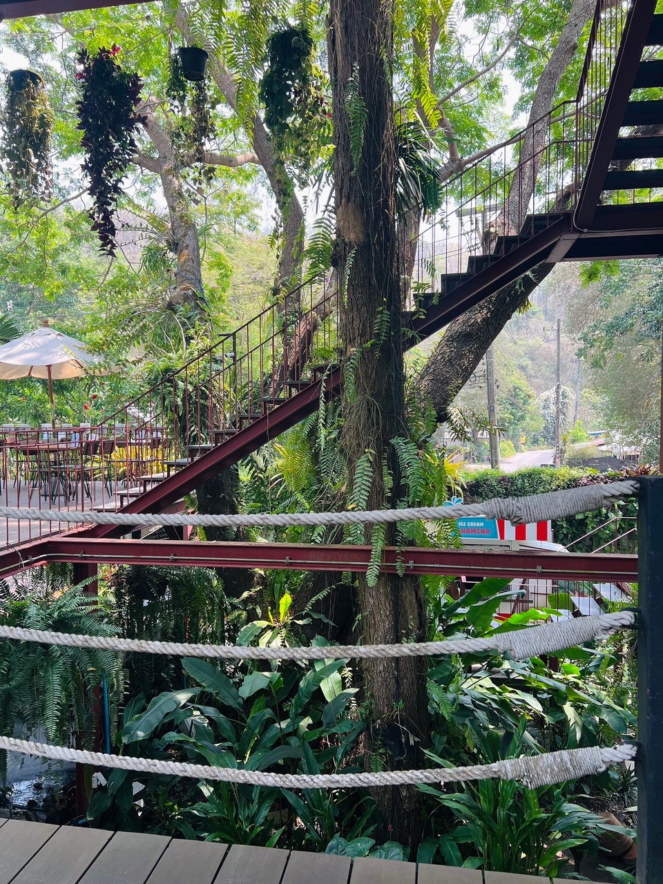 Thailand - Chiang Mai - Chamcha Restaurant 🦋