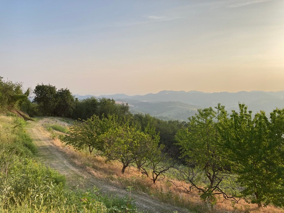 Italien - Albugnano - Morgenstimmung Albugnano