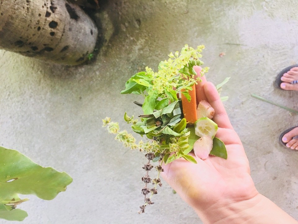 Thailand - Chiang Mai - Fast alle Zutaten sind direkt aus seinem Garten und wir konnten sehen wie die ganzen Pflanzen aussehen, riechen etc.