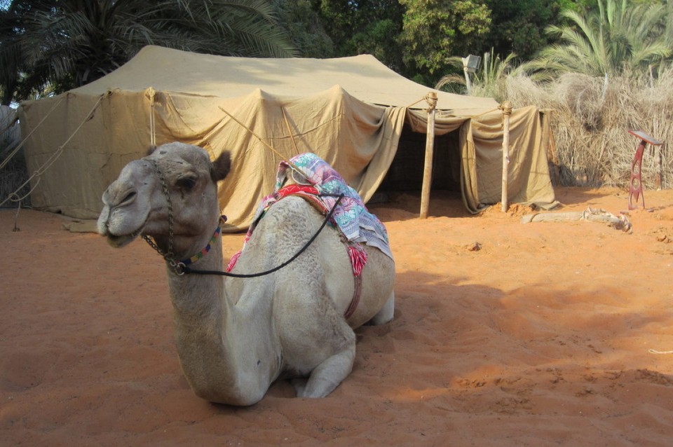 - Abu Dhabi - Besuch einer  Heritage Village in Abu Dhabi