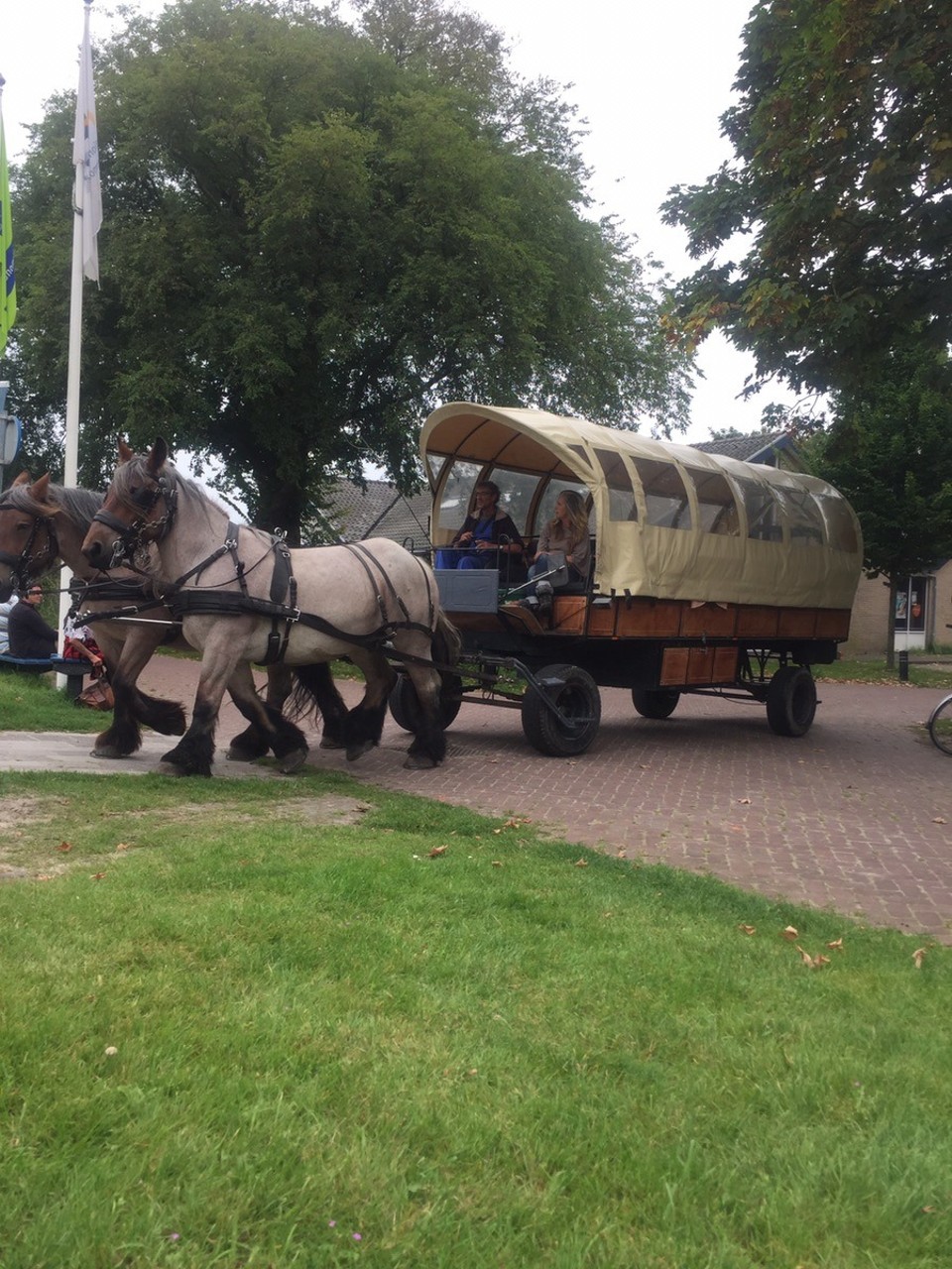 Niederlande - Schiermonnikoog - 2 Personen - 30 € und eine tolle Kutschenfahrt von 2 Stunden!