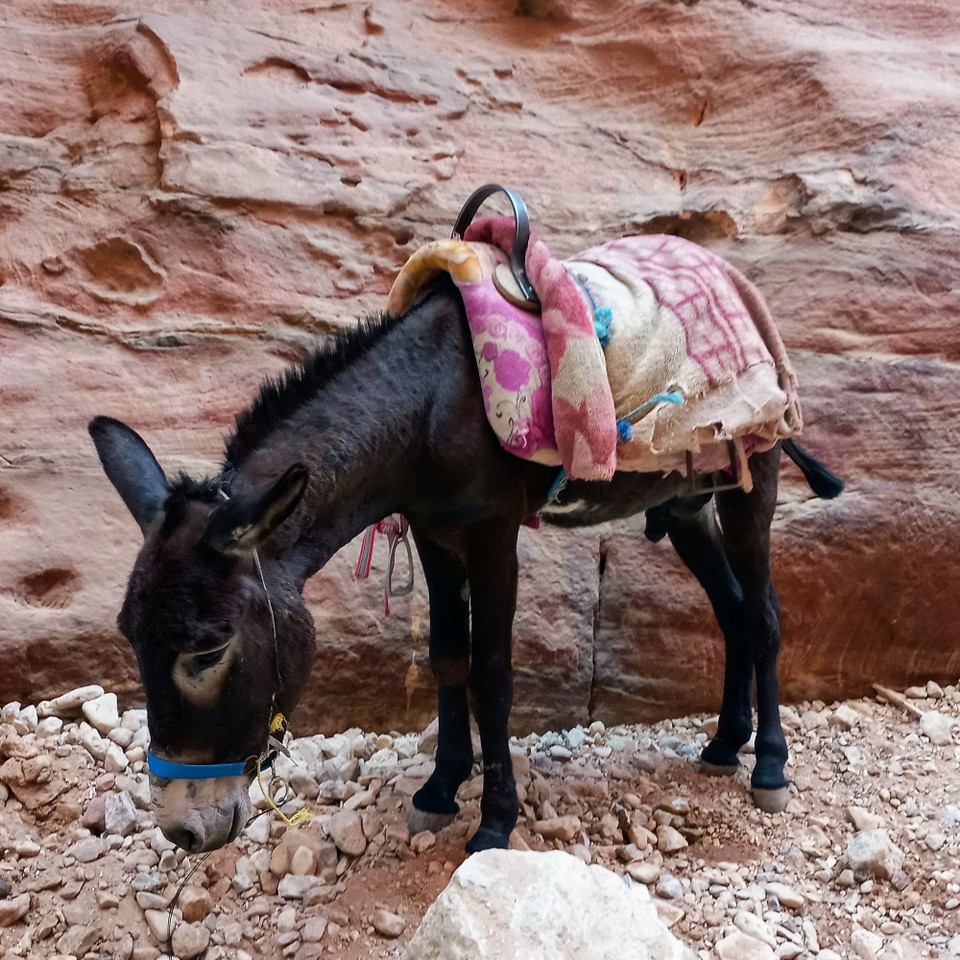 Jordanien - Akaba - 