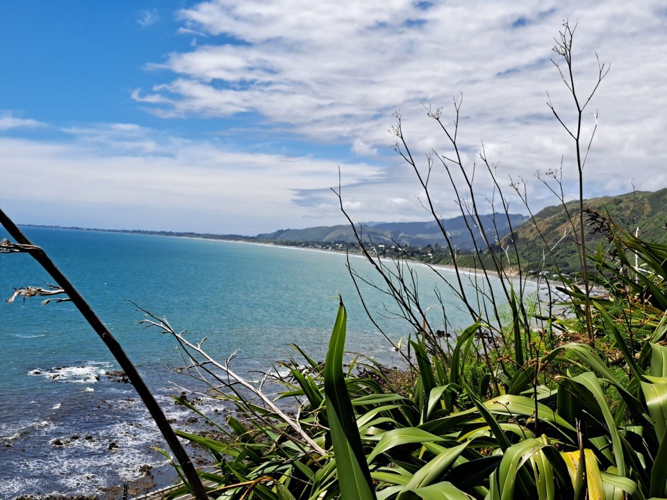 Neuseeland - Porirua - 