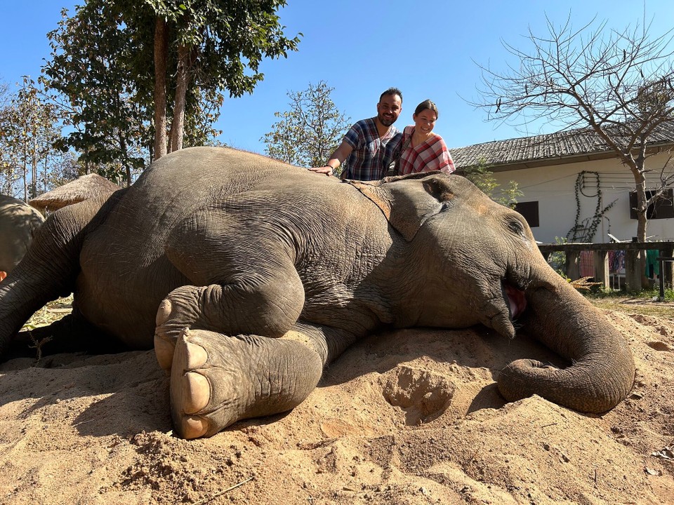 Thailand - Chiang Mai - Die Elefanten spielen gerne und legen sich in den Sand. Hier durften wir sie dann kraulen 