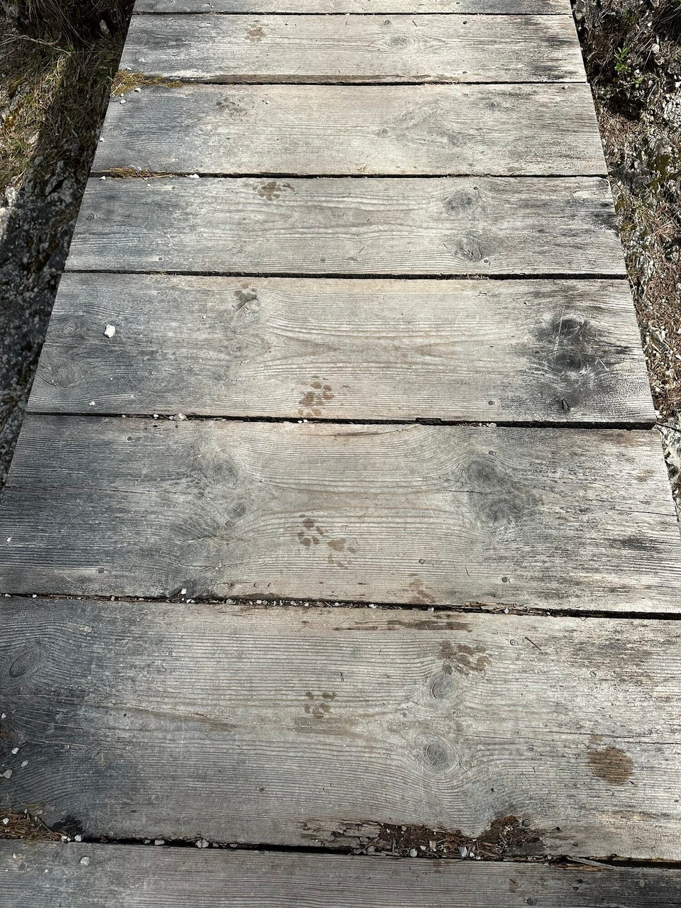 Österreich - Scharnitz - 