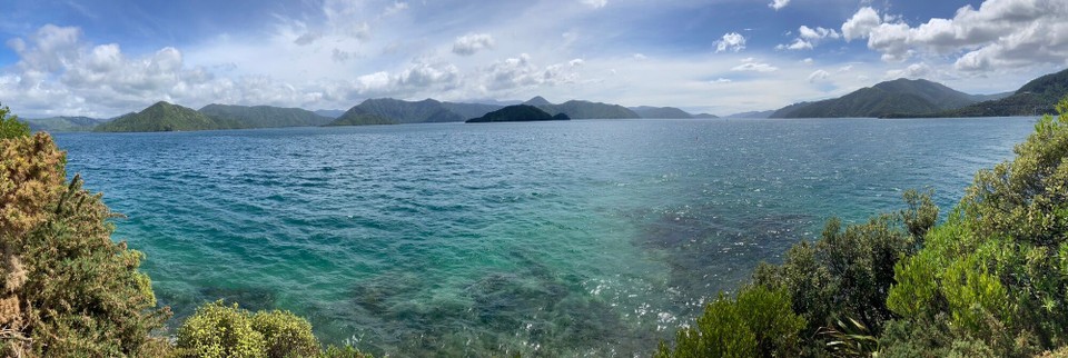 Neuseeland - Picton - Snout Point
