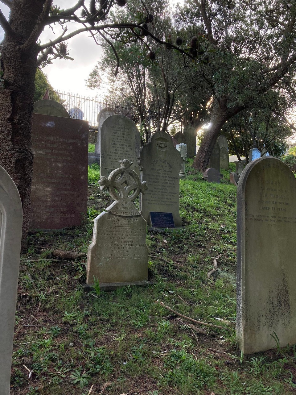 Neuseeland - Wellington - Bolton Cemetery