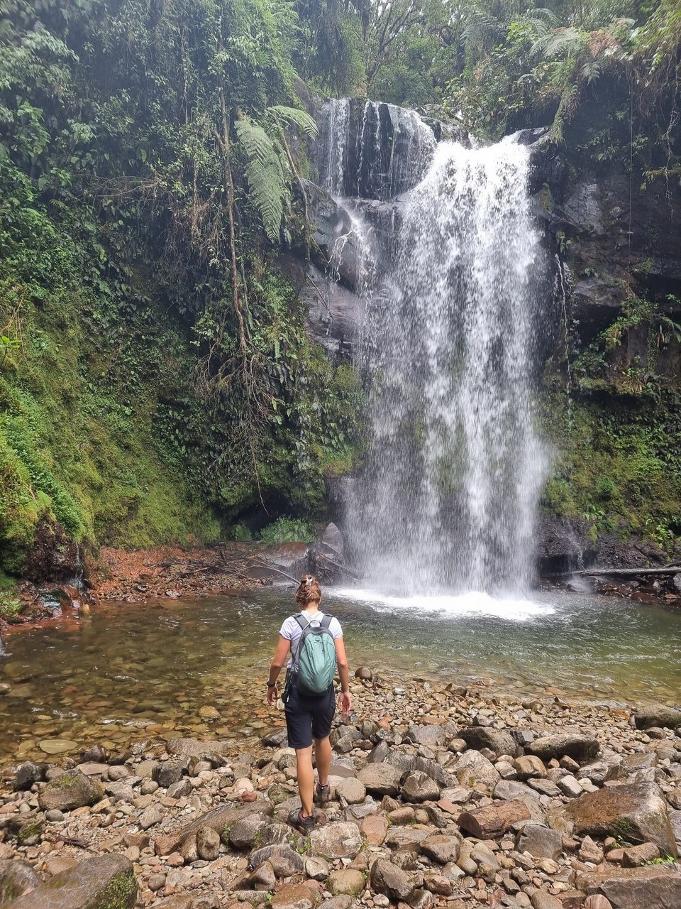 Panama -  - Nr. 2 ✔️