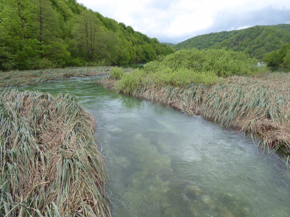 Kroatien - Plitvička jezera - Romantisch mit dem Schilf und so klares Wasser...