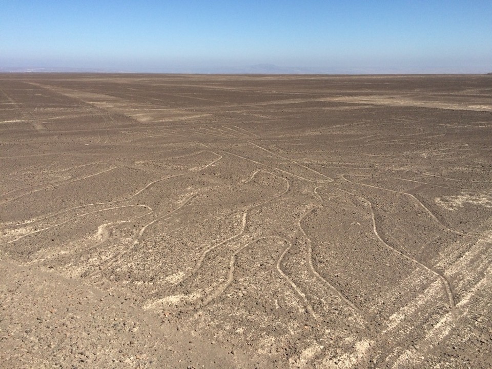 Peru - Nazca - The Tree