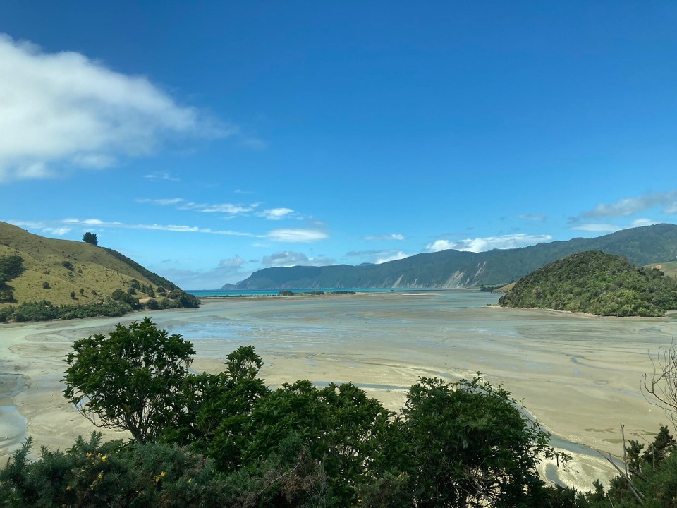 Neuseeland - Cable Bay - Als wir uns auf den Rückweg machen, ist das ganze Wasser aus der Bucht verschwunden 😅