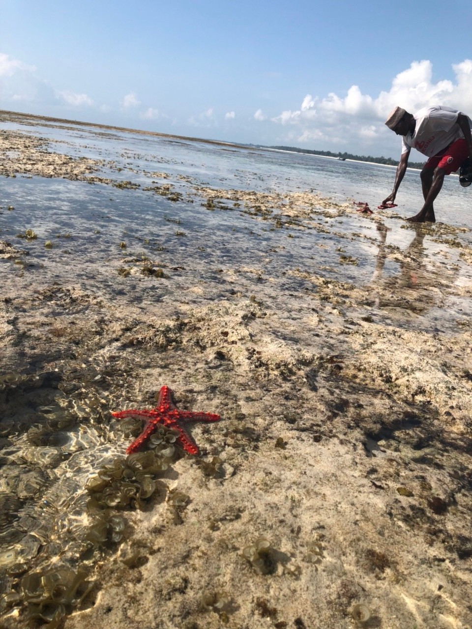 Kenia - Kwale - 