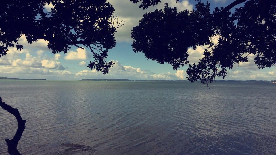 Neuseeland - Cockle Bay - 