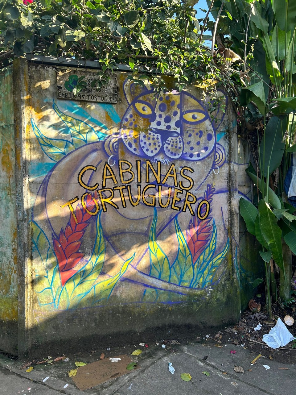 Costa Rica - Nationalpark Tortuguero - 