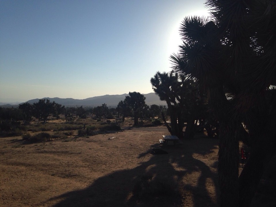 Vereinigte Staaten - Yucca Valley - 