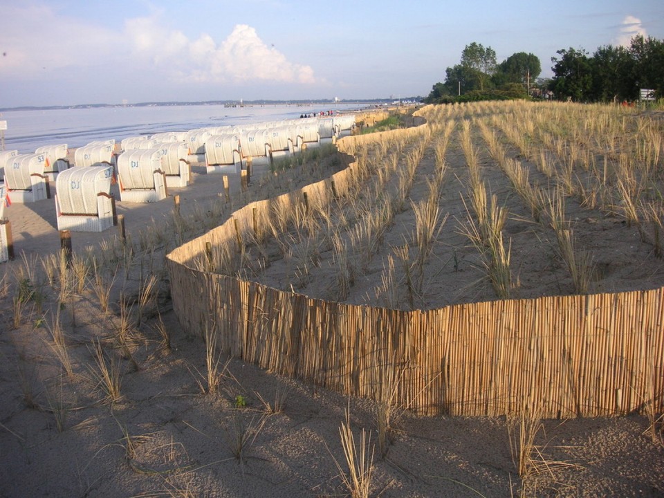 Deutschland - Sylt - Bepflanzung zum Erhalt der Dünen