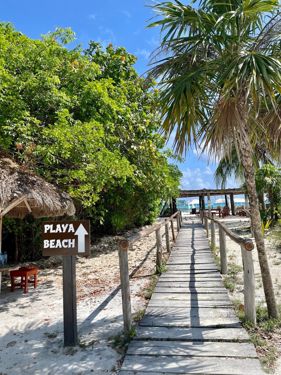 Mexiko - Cozumel - 