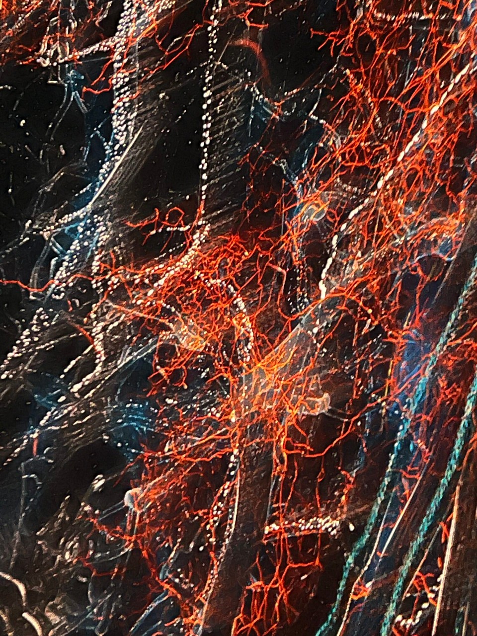 Vereinigte Staaten - New York - Sonderausstellung Holographische Schau