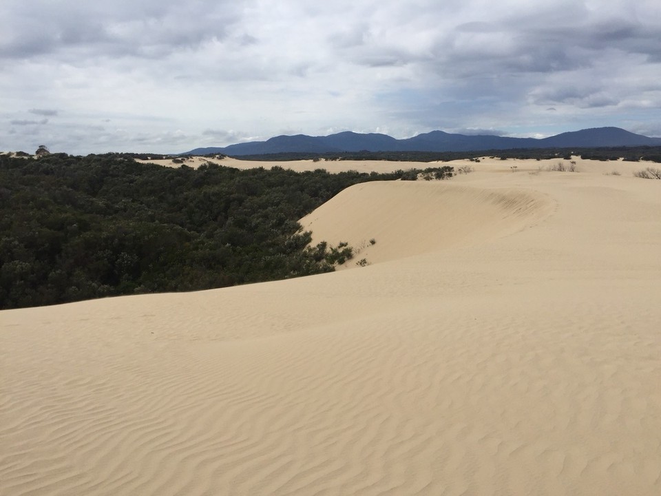  - Australia, Wilsons Promontory National Park, The Big Drift - 