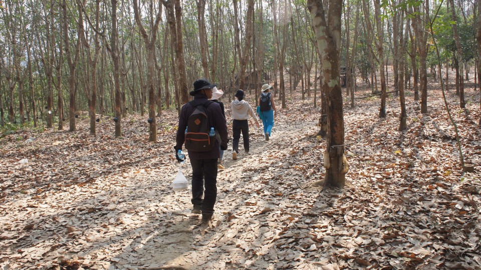 Laos - Luang Prabang - Stundenlanger Fußmarsch in glühender Hitze zu einem Hmong-Dorf in den Bergen