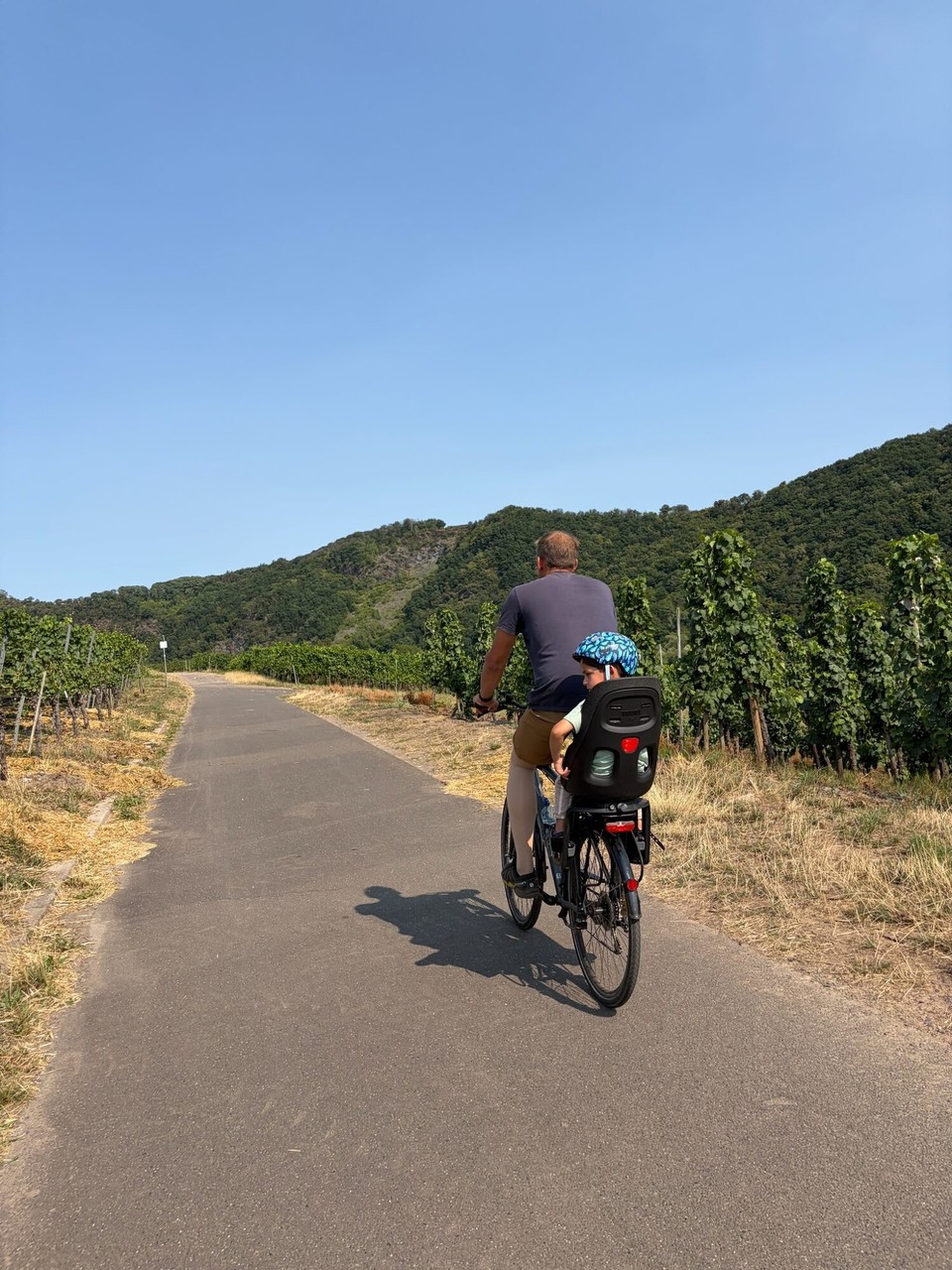 Deutschland - Bernkastel-Kues - Nach dem Stopp ging es weiter durch die Weinberge zurück nach Traben-Trarbach.