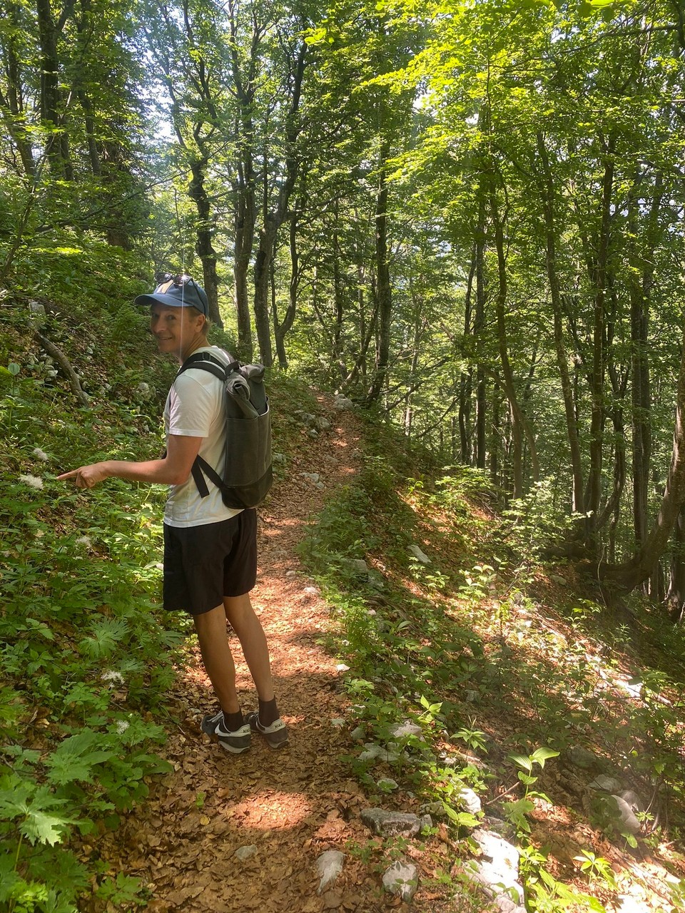 Slowenien - Bohinj - 