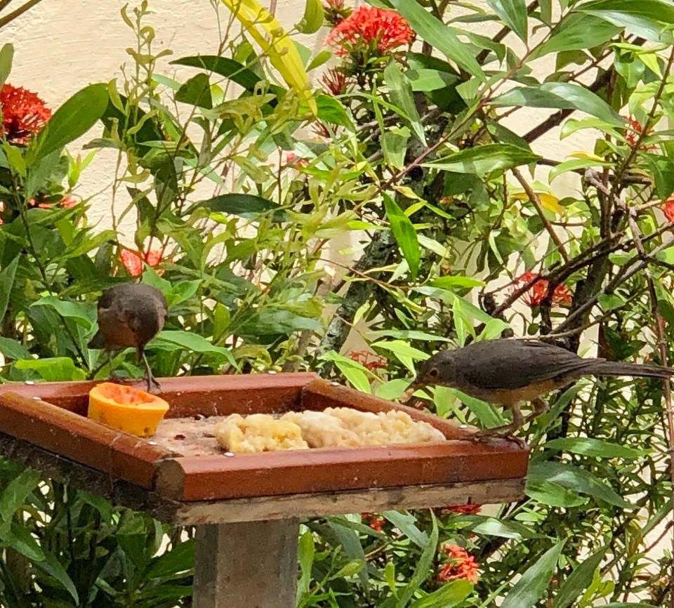 Brasilien - Salvador - 