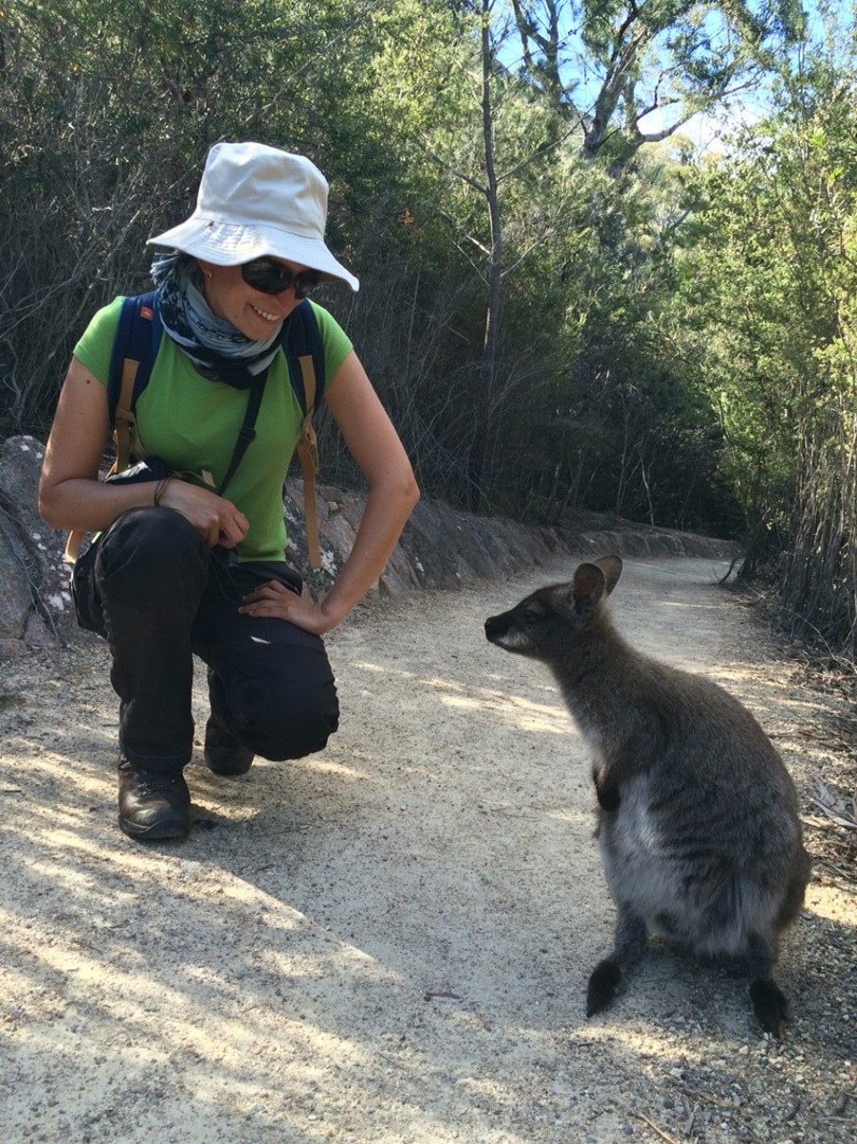 Australien - Swansea - Überall Wallabies