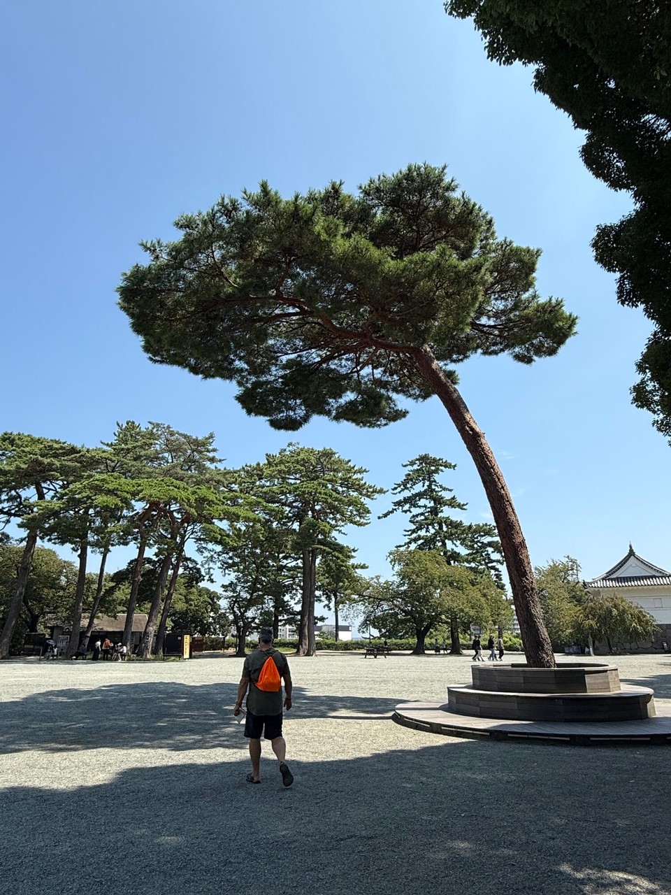 Japan - Matsumoto - 