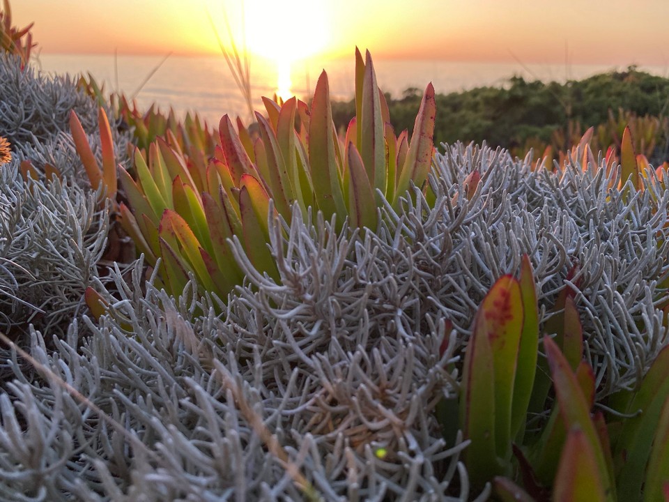 Portugal - Aljezur - 