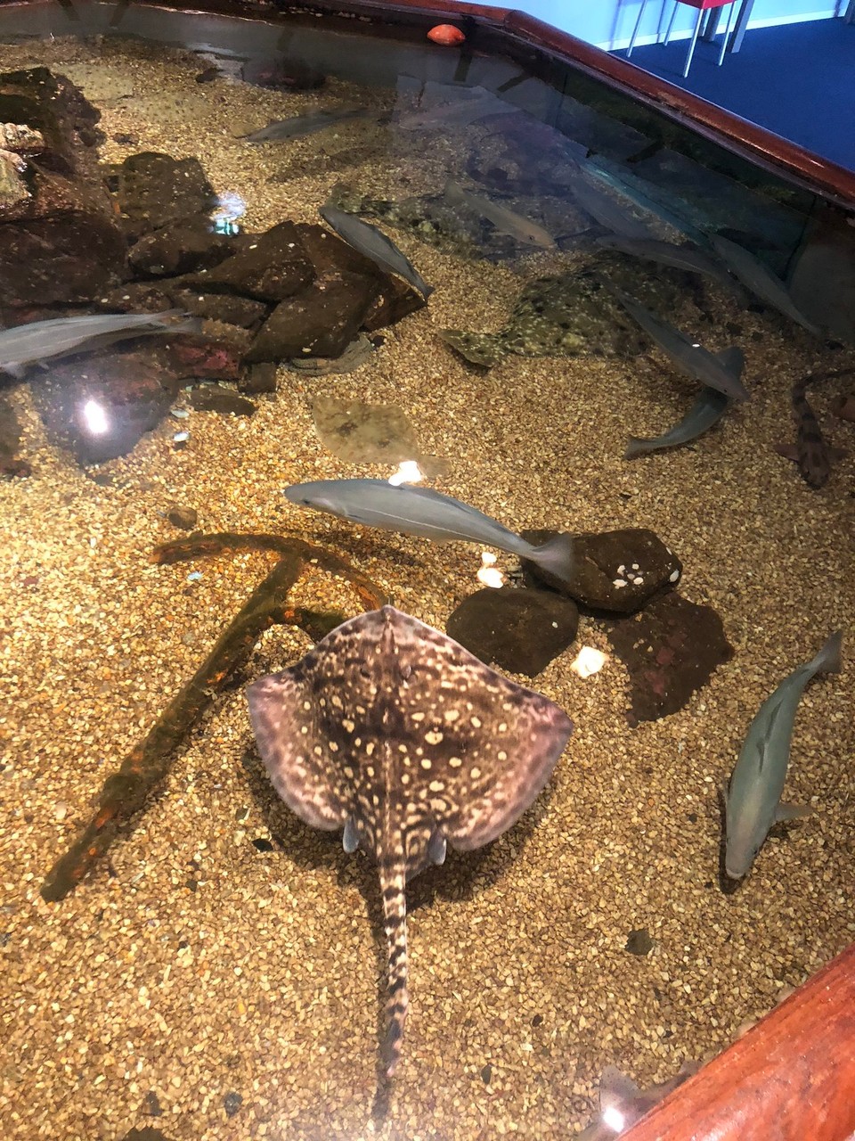 Norway - Drøbak - The aquarium