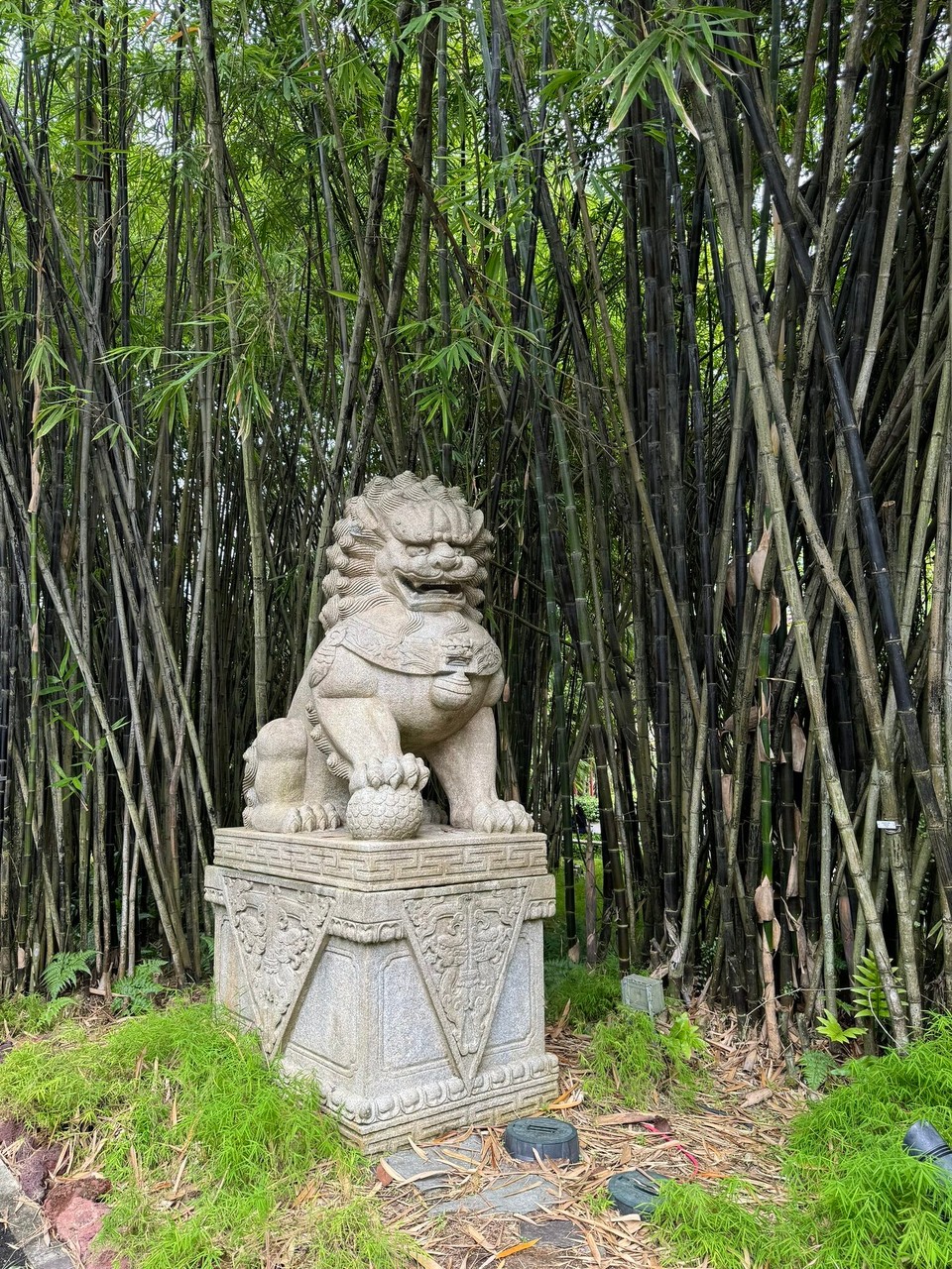 Singapur - Singapur - 
